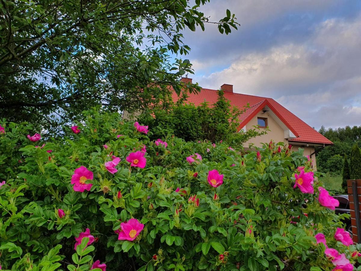 Morskie Zacisze Oslonino Exterior foto